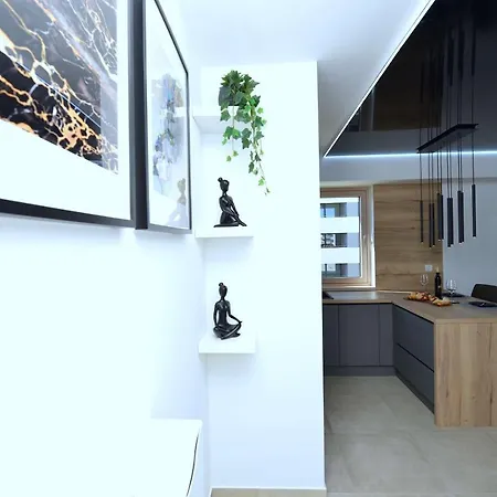 Exclusive * 자다르